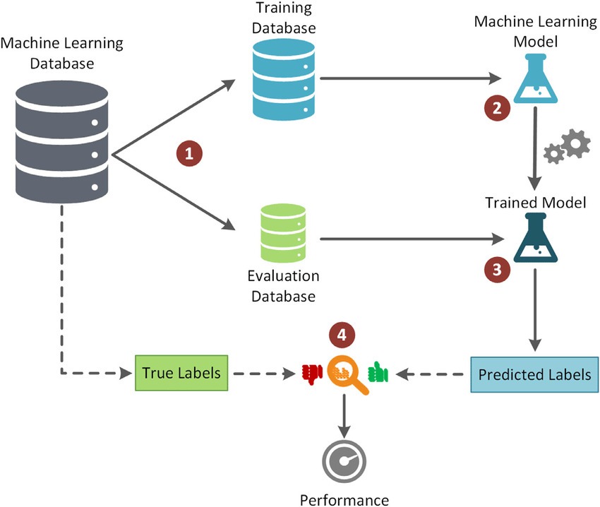 Binary-Classification-Workflow