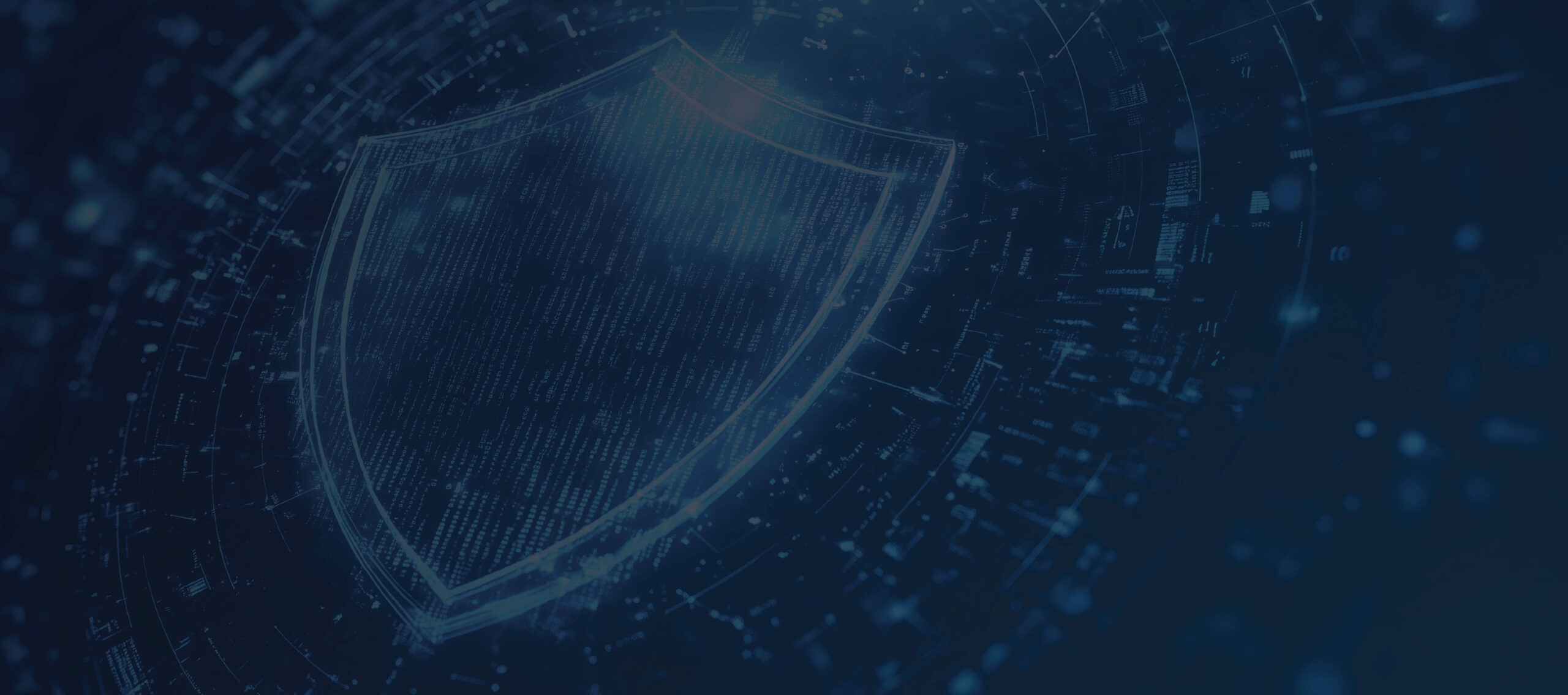 NCSS - banner bg