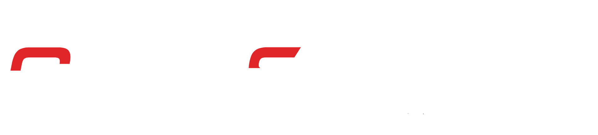 NCSS - logo